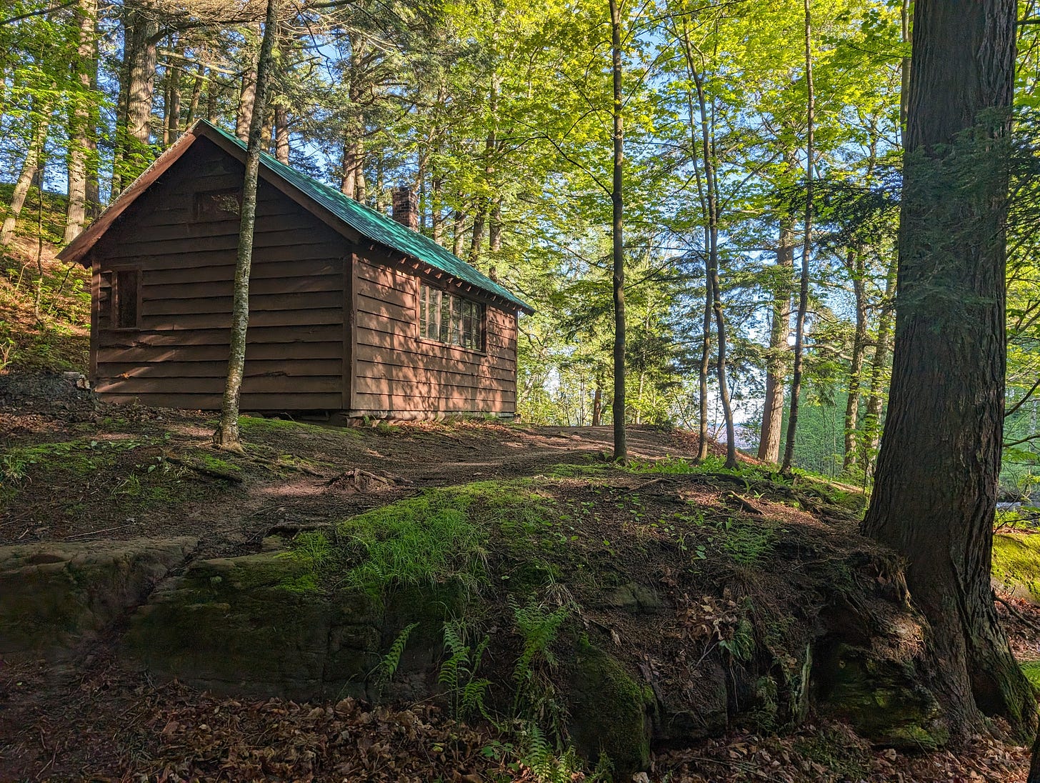 A cabin sitting in the middle of a forest