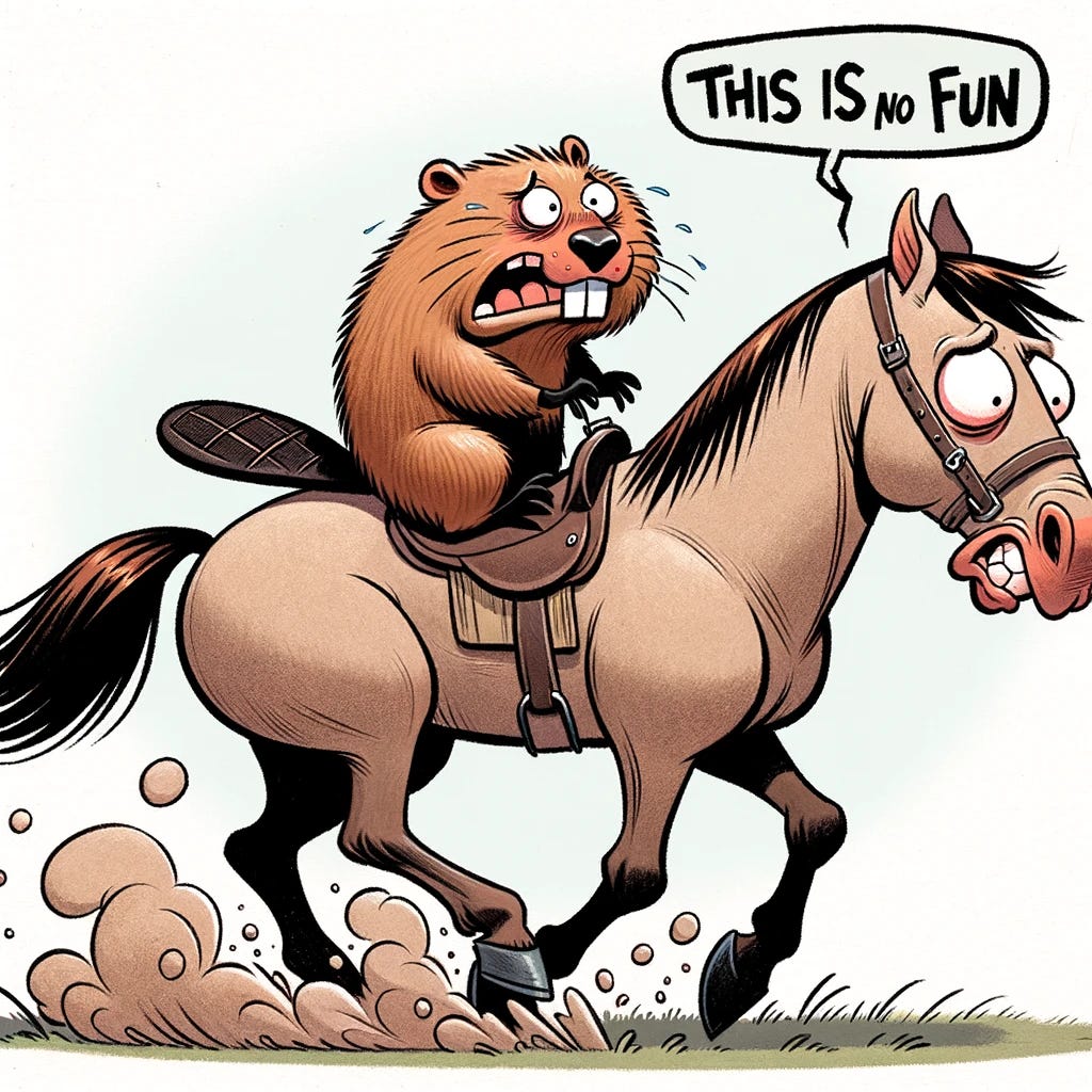 A cartoon depicting a beaver riding on the back of a spooky and quarrelsome horse. The horse appears agitated and a bit wild, with wide eyes and a tense posture. The beaver, looking uncomfortable and unhappy, is holding onto the horse's mane for balance. Above the beaver, there's a speech bubble with the words "this is no fun" in bold, cartoonish lettering. The background should be simple, perhaps just a hint of a grassy field, to keep the focus on the characters' expressions and the humorous situation.