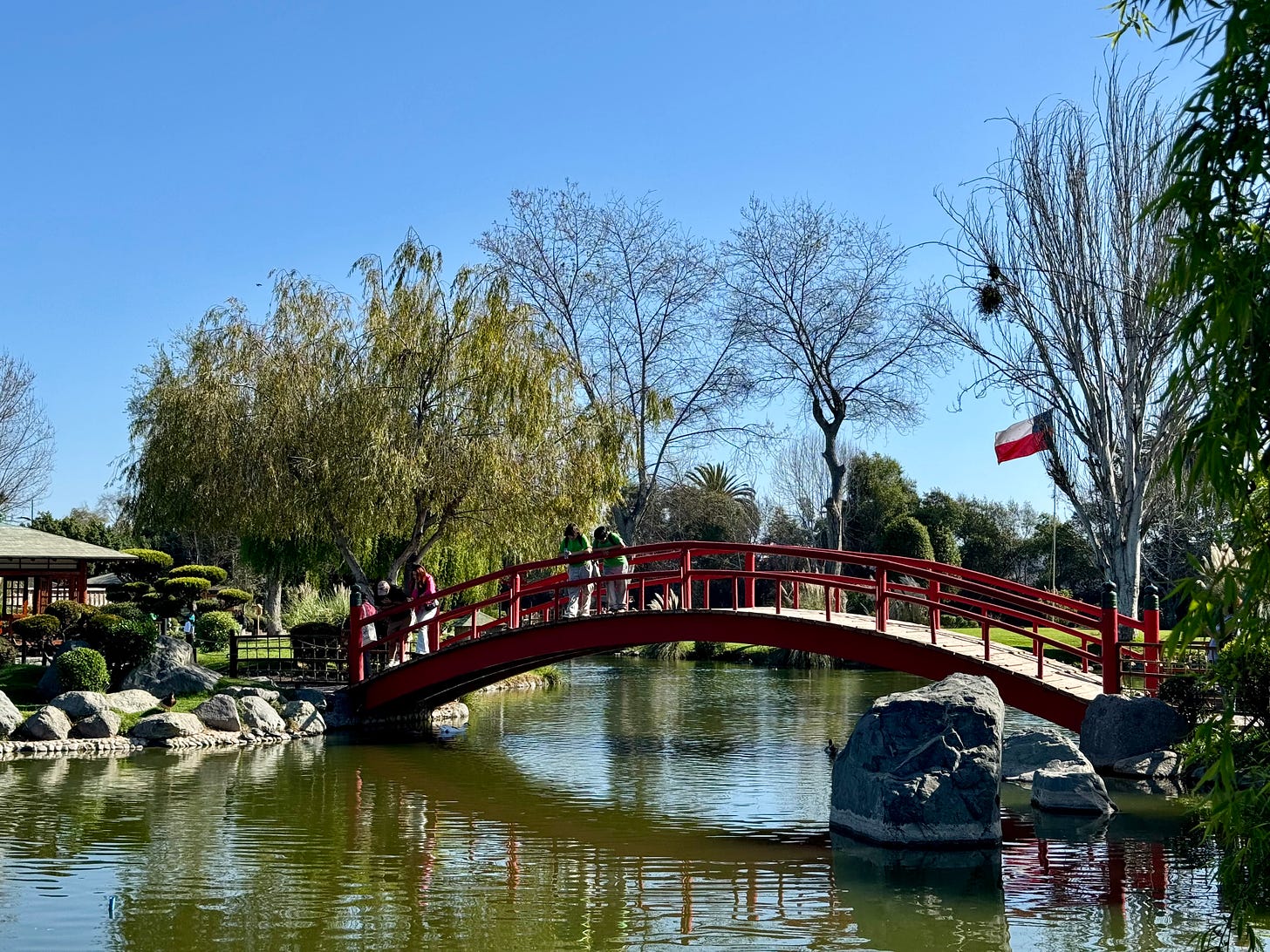 Pasarela roja sobre un estanque de agua en el jardín japonés de La Serena. Foto de la autora.