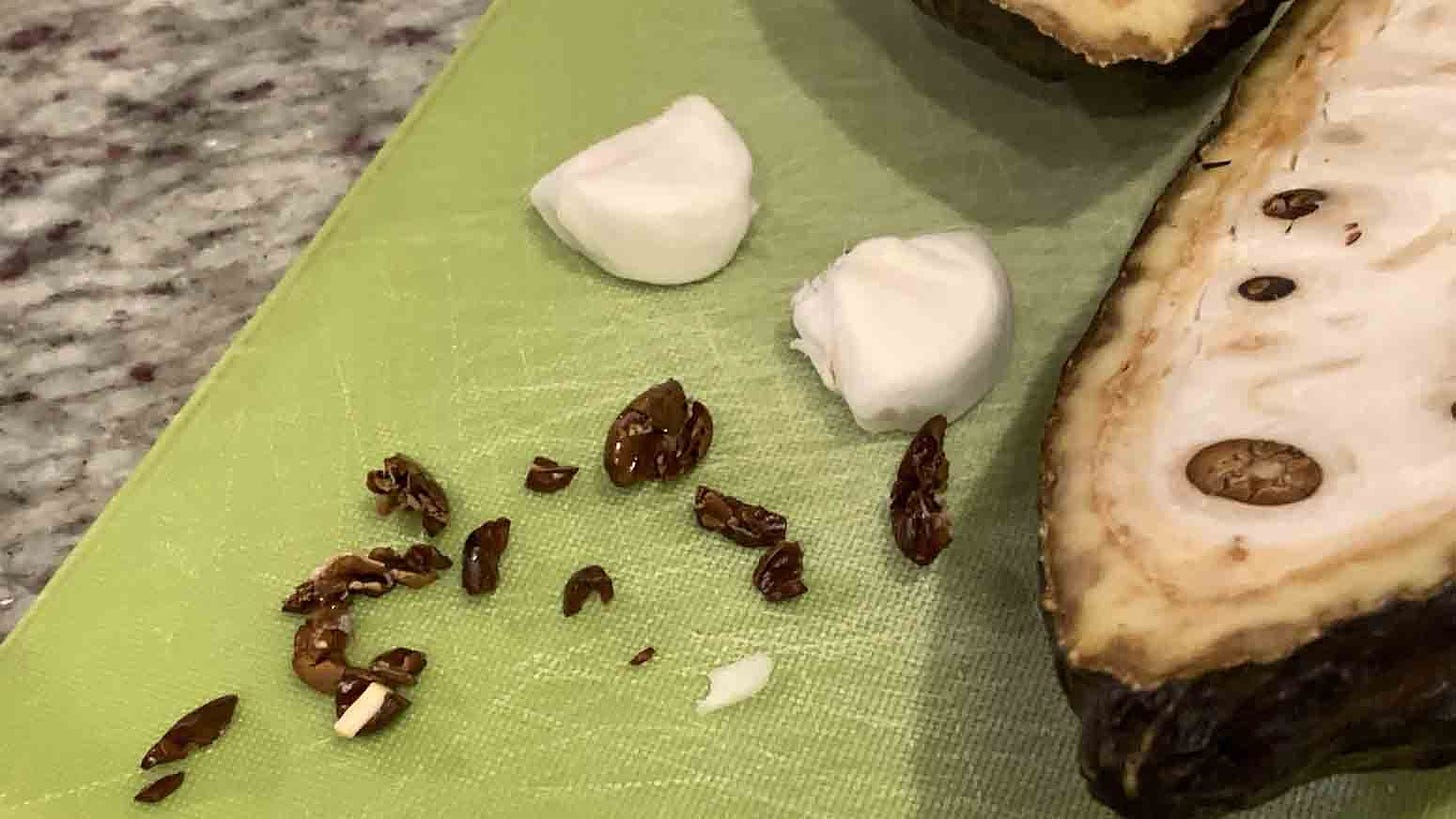 Detail of cut open cacao with beans separated out and some hunks of pulp