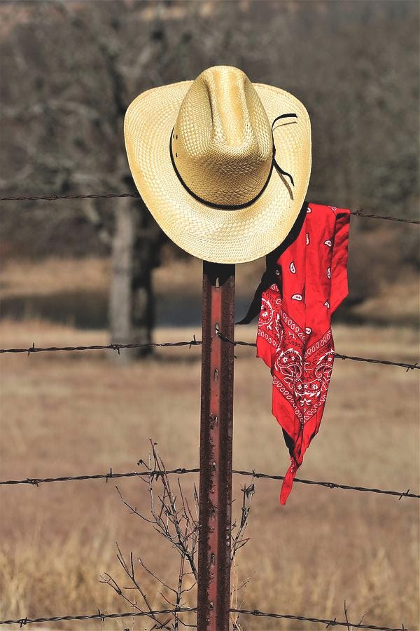 Hat Photograph - Cowboy Hat and Bandana on Fence Post by Sheila Brown