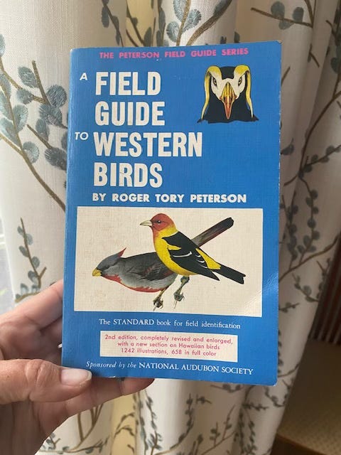 Cover of A Field Guide to Western Birds by Roger Tory Peterson, held in a hand, drapery with tree branches visible behind it.