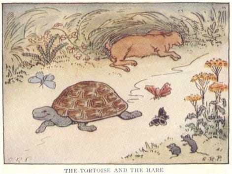 Tortoise and Hare Pic Tortoise and Hare Pic