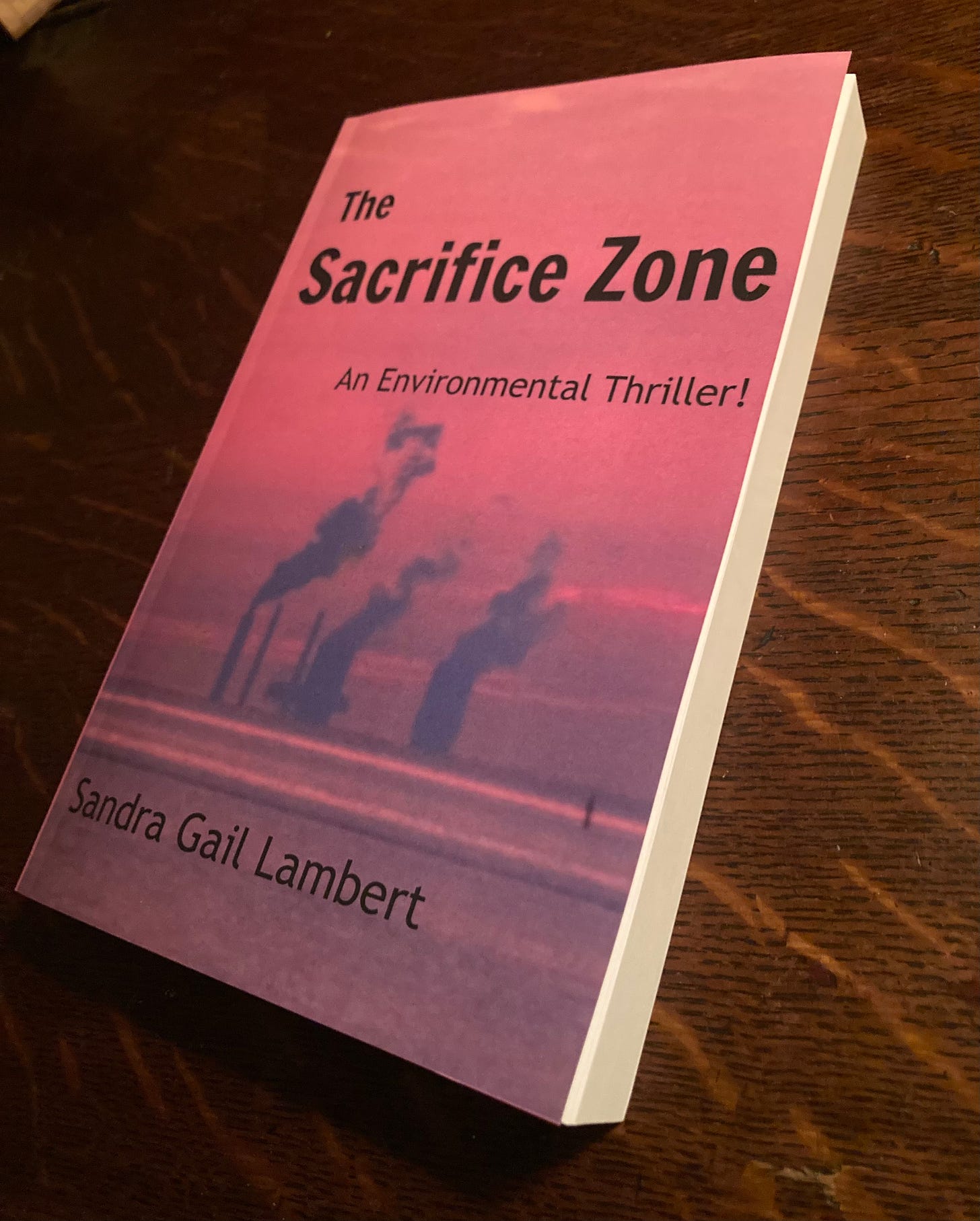 The front cover of The Sacrifice Zone: An Environmental Thriller by Sandra Gail Lambert at an angle so the thickness of the book is visible. 