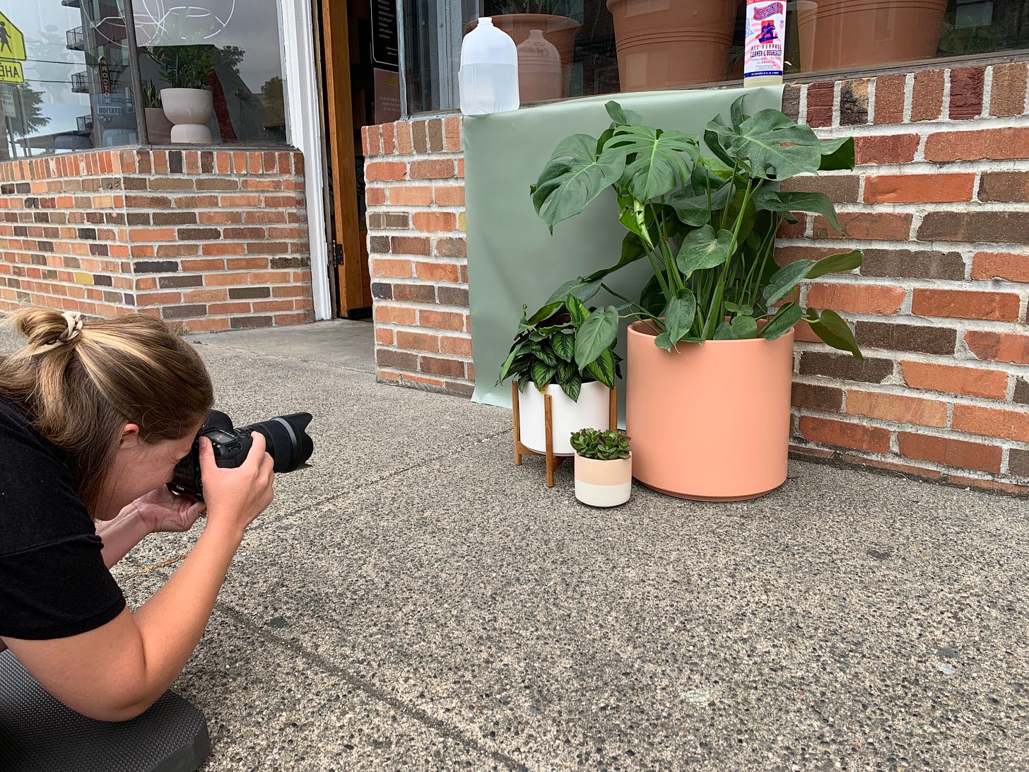 cluster of planters in a sidewalk outside a store with photographer crouched in front taking a photo
