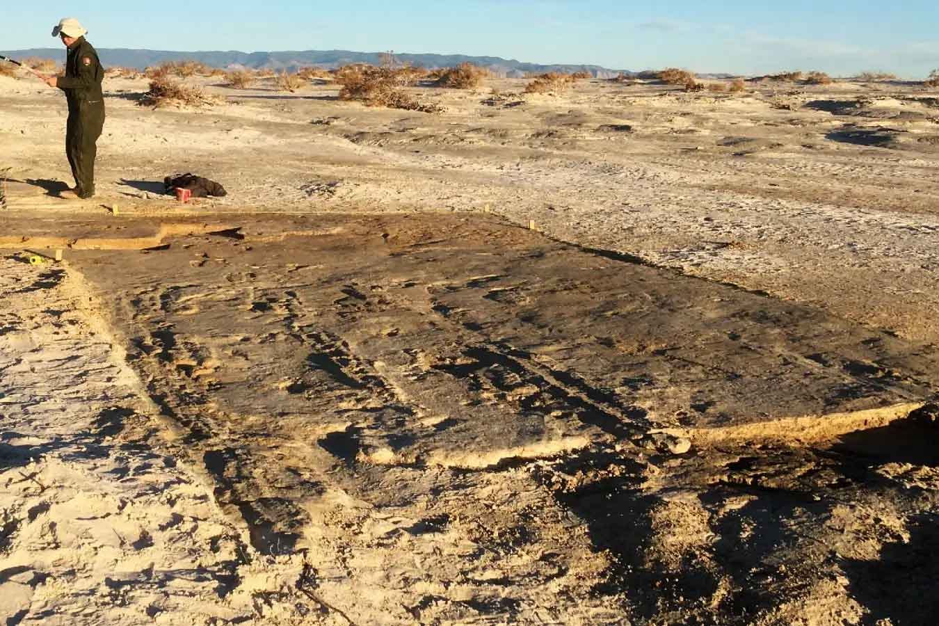 A shallow excavation surface showing footprints and linear marks with a stark desert background A shallow excavation surface showing footprints and linear marks with a stark desert background