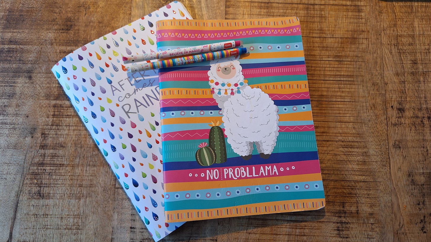 Two notebooks and two pens. The notebooks say After rain comes the rainbow with a pattern of multicoloured raindrops, and No Probllama with a pattern of coloured stripes and a llama. One pen is a unicorn with Believe in Magic written on it, and the other is a llama with No probllama written on it.