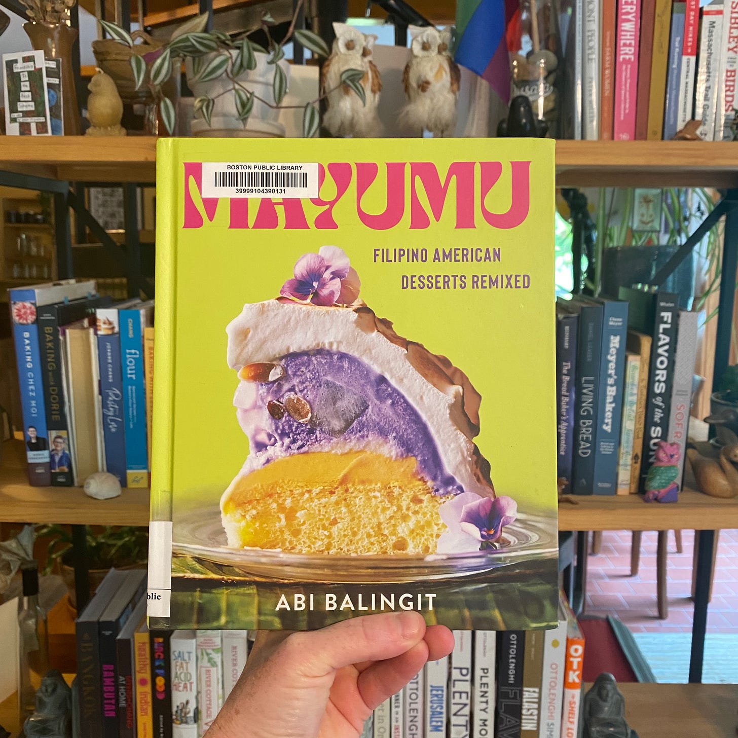 I’m holding up this cookbook in front of a shelf of colorful cookbooks.