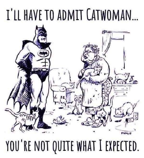 May be an image of Superman and text that says 'I'LL HAVE TO ADMIT CATWOMAN... ROSIG YOU'RE NOT QUITE WHAT I EXPECTED.'