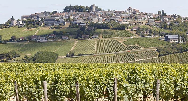 A vineyard and village scene in the Val de Loire. (<a href="https://www.visitfrenchwine.com/en/product/centre-val-de-loire-terroir-thats-larger-life" target="_new">Photo from VisitFrenchWine.com.</a>)