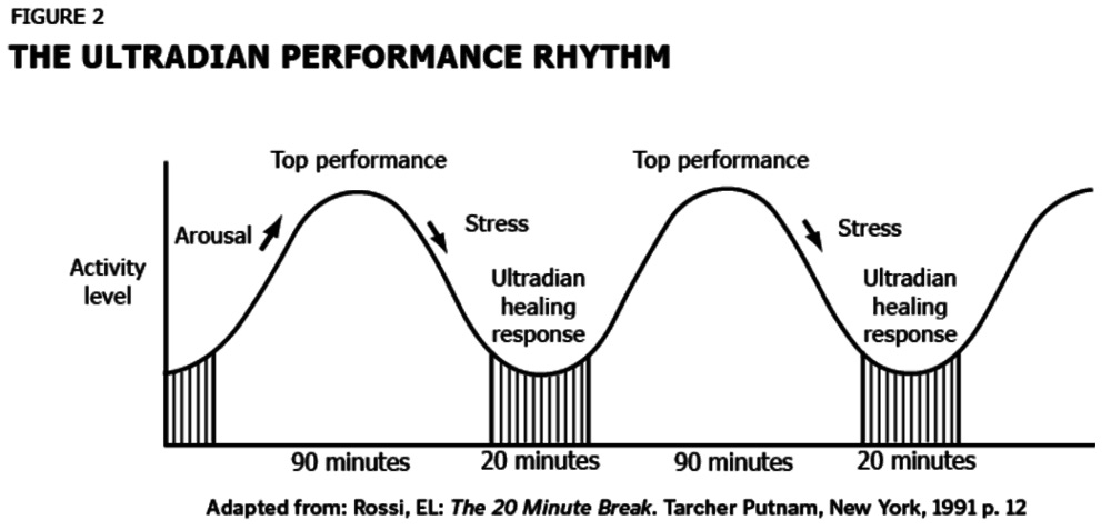 how to achieve more by doing less Ultradian rhythms