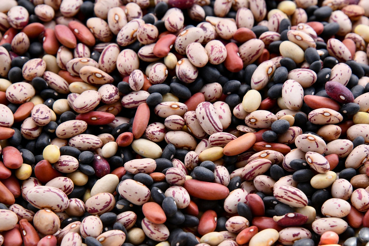 beans beans