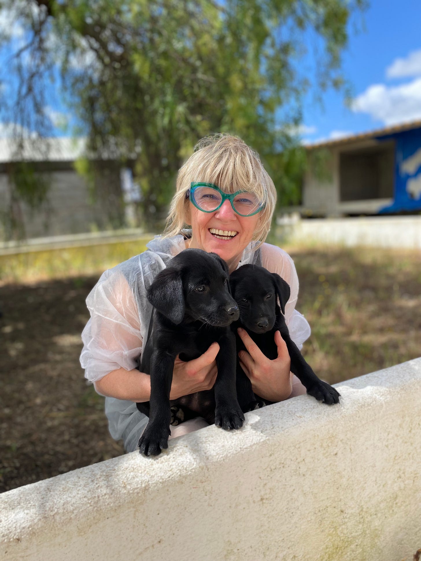 A woman smiling with two black labrador puppies