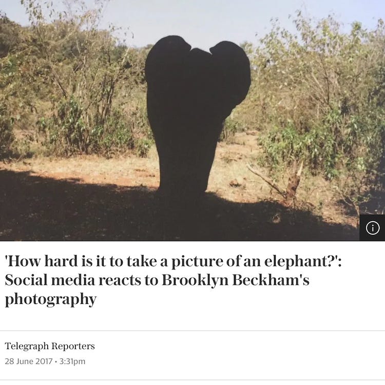 'How hard is it to take a picture of an elephant?'. Social media reacts to Brooklyn Beckham's photography Telegraph Reporters 28 June 2017 • 3:31pm