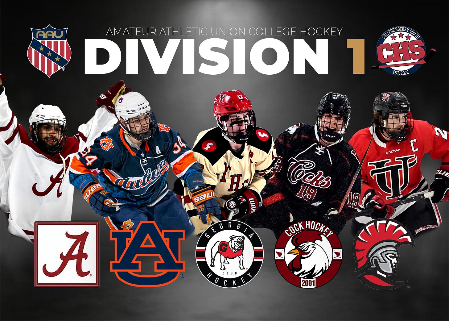 College Hockey South (@CollegeHkySouth) / X