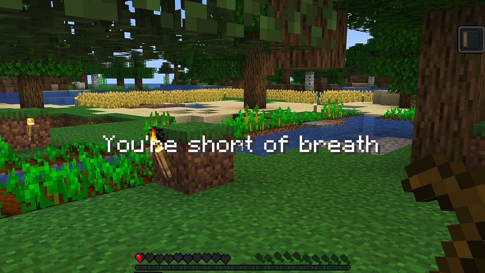 Long COVID game mode lets you feel chronic symptoms playing 'Elden Ring'  and 'Minecraft' | Euronews