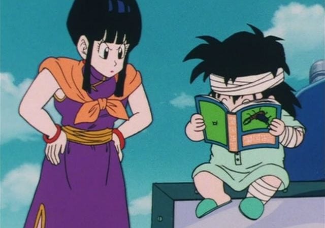Dragon Ball: 25 Things Everyone Gets Wrong About Chi-Chi