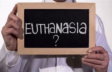 Image result for iatrogenic Euthanasia