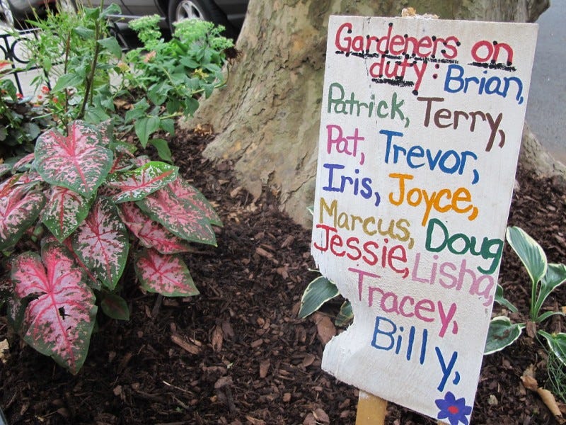Trees are for Kids! - Brooklyn Botanic Garden