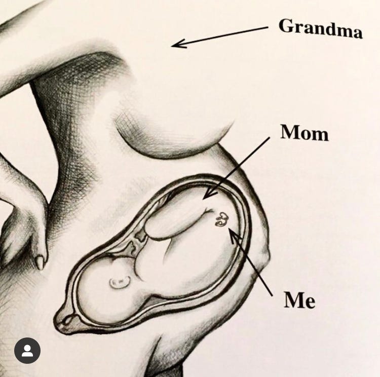 graphic showing how the egg that eventually bacame YOU was created in your mother while she was still in the womb