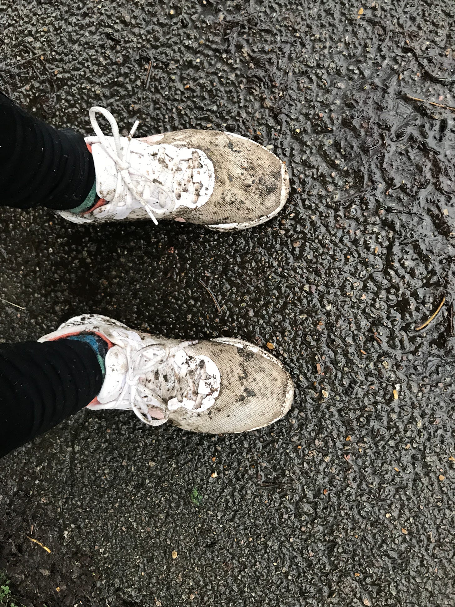 Muddy running shoes on wet pavement