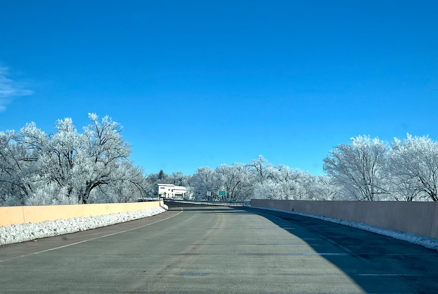 A highway is lined on both sides by trees, which are covered in frost and therefore appear to have white leaves. A while building is in the distance, and the sky is rich, bright, clear blue.