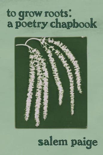 the cover of salem paige's "to grow roots"