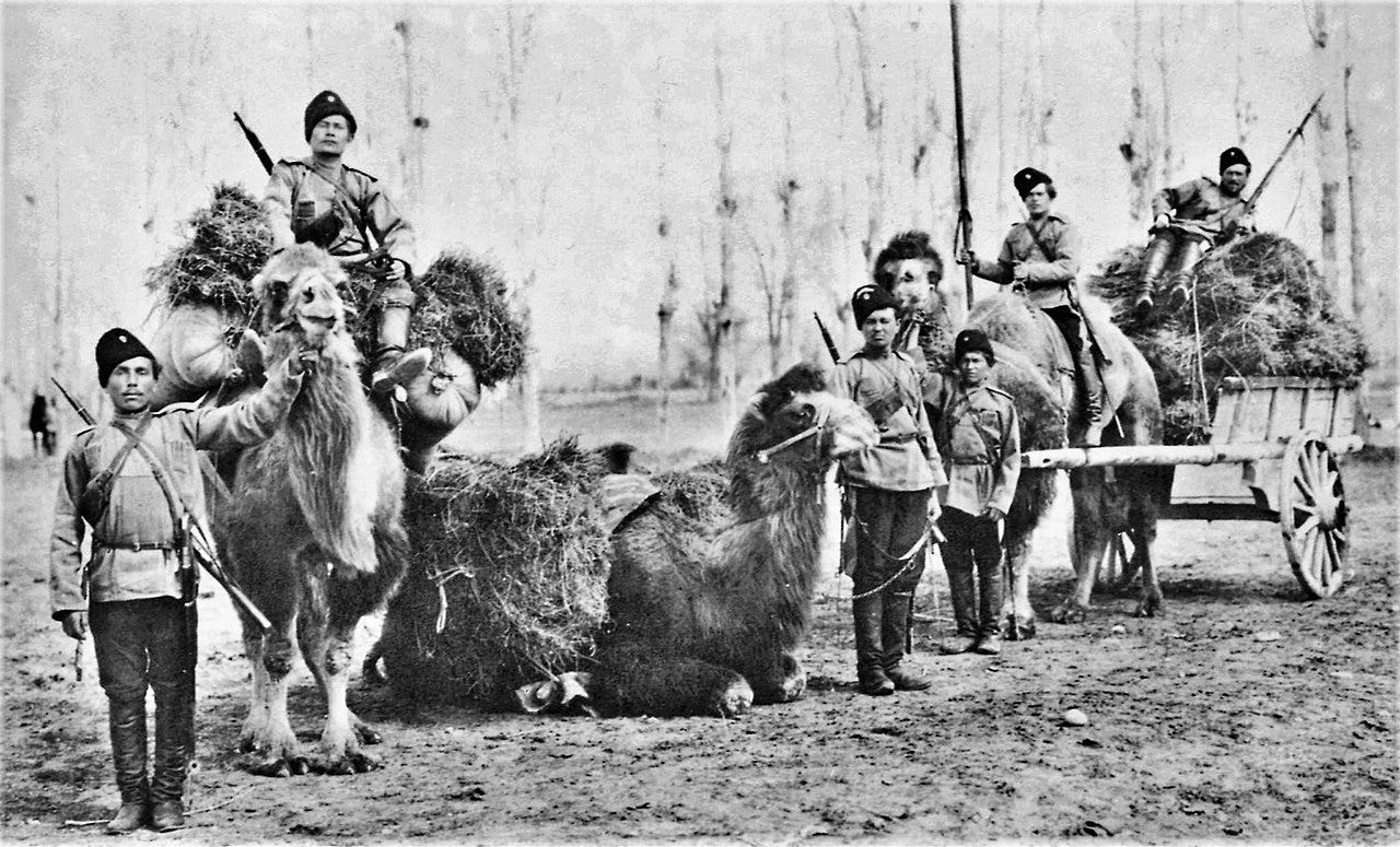Оренбургские казаки с верблюдами.