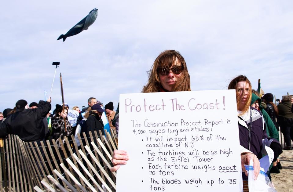 Environmentalists Rally During The World Whale Day To Call For End Of Offshore Wind Energy Development Along The Jersey Shore
