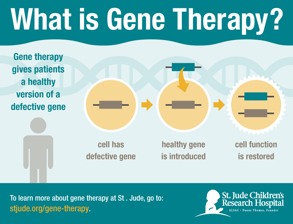 Gene Therapy Pioneered At St. Jude Children's Research Hospital Shows ...