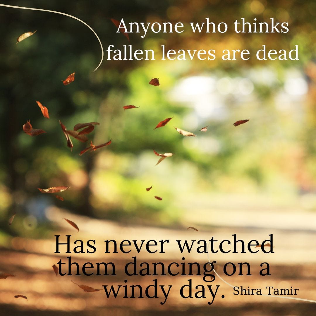 Anyone who thinks fallen leaves are dead has never watched them dancing on a windy day.— Shira Tamir