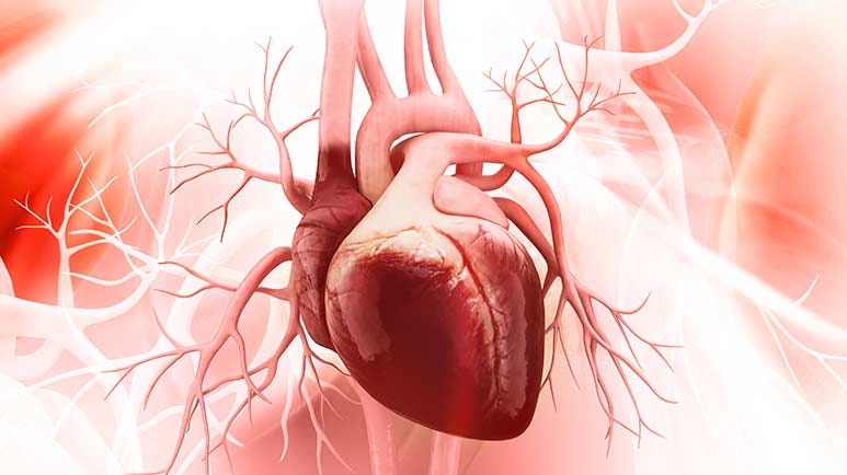 toxins cause cardiomyopathy