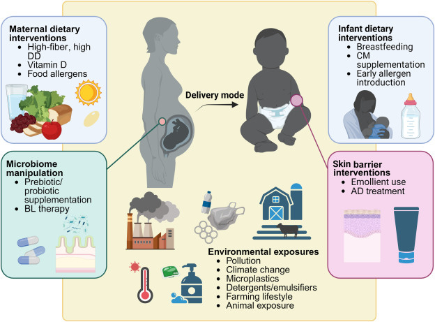 Prevention of IgE-Mediated Food Allergy: Emerging Strategies Through  Maternal and Neonatal Interventions - ScienceDirect