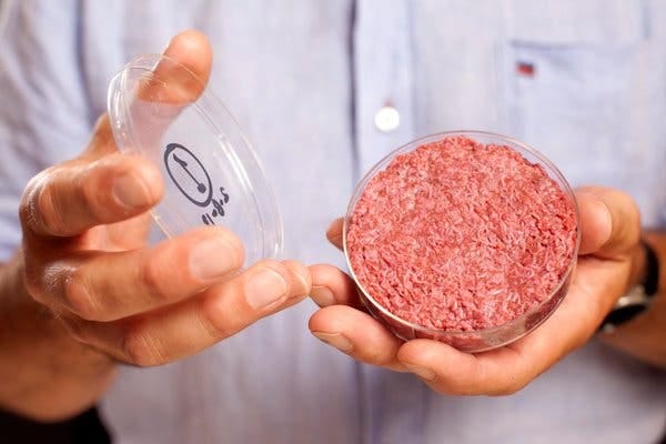 A Lab-Grown Burger Gets a Taste Test - The New York Times