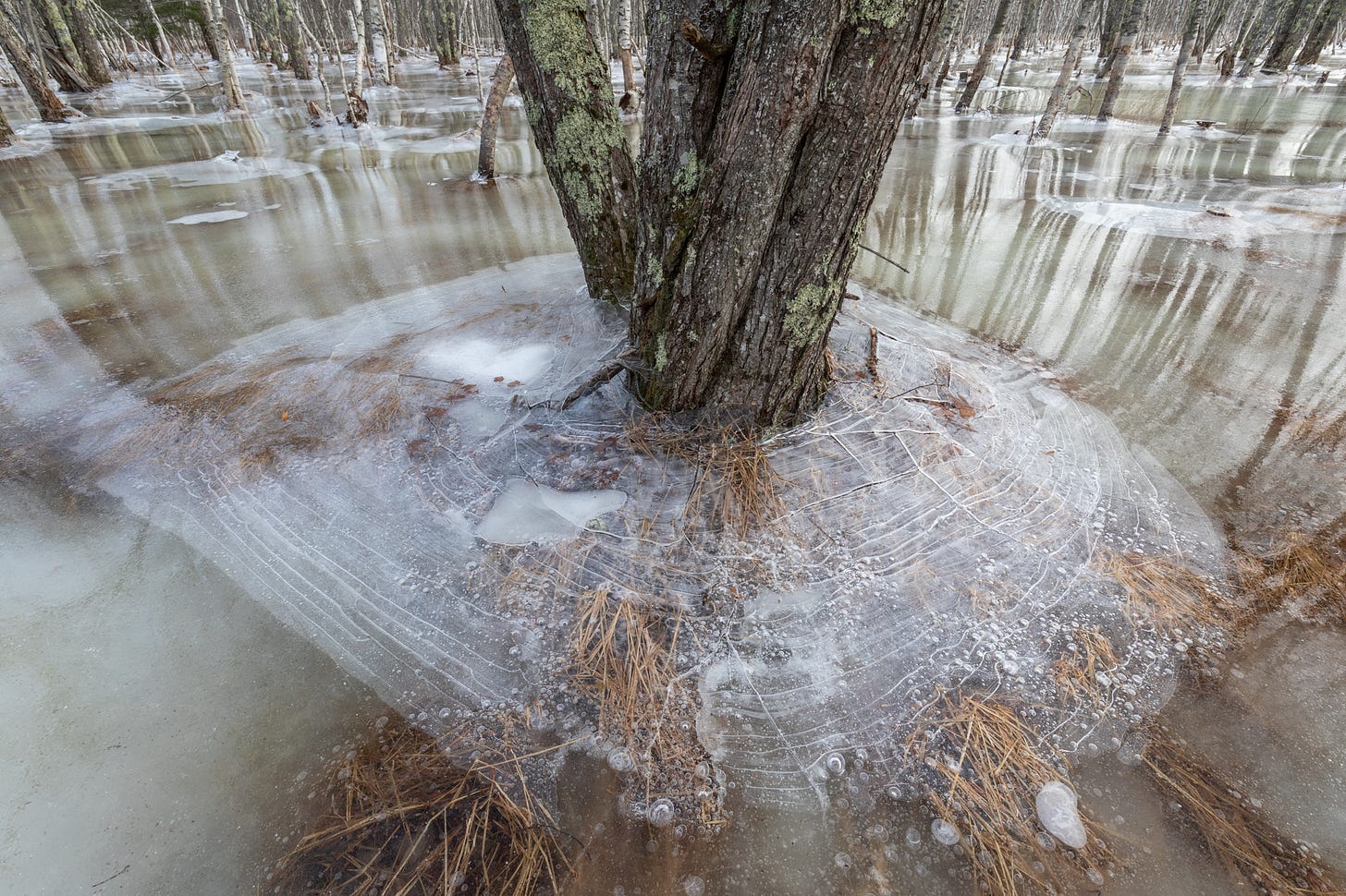 Ice settling as the water beneath begins to drain in January of 2019. Acadia National Park, Mount Desert Island, Maine