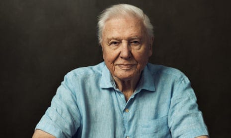 ‘Wouldn’t be Planet Earth without David’ … Sir David Attenborough is to present a third outing for the landmark natural history series.