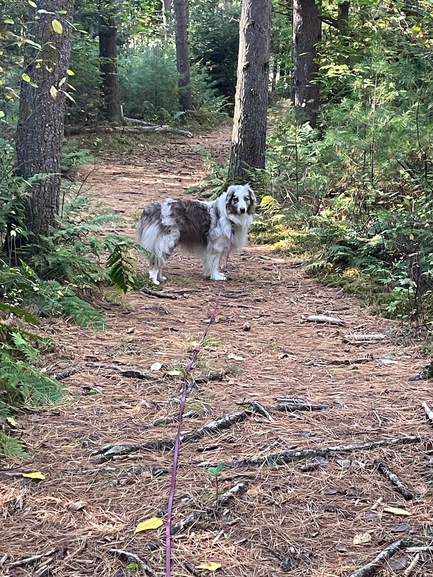 Flipping the Script on Patience by Peggy Woods