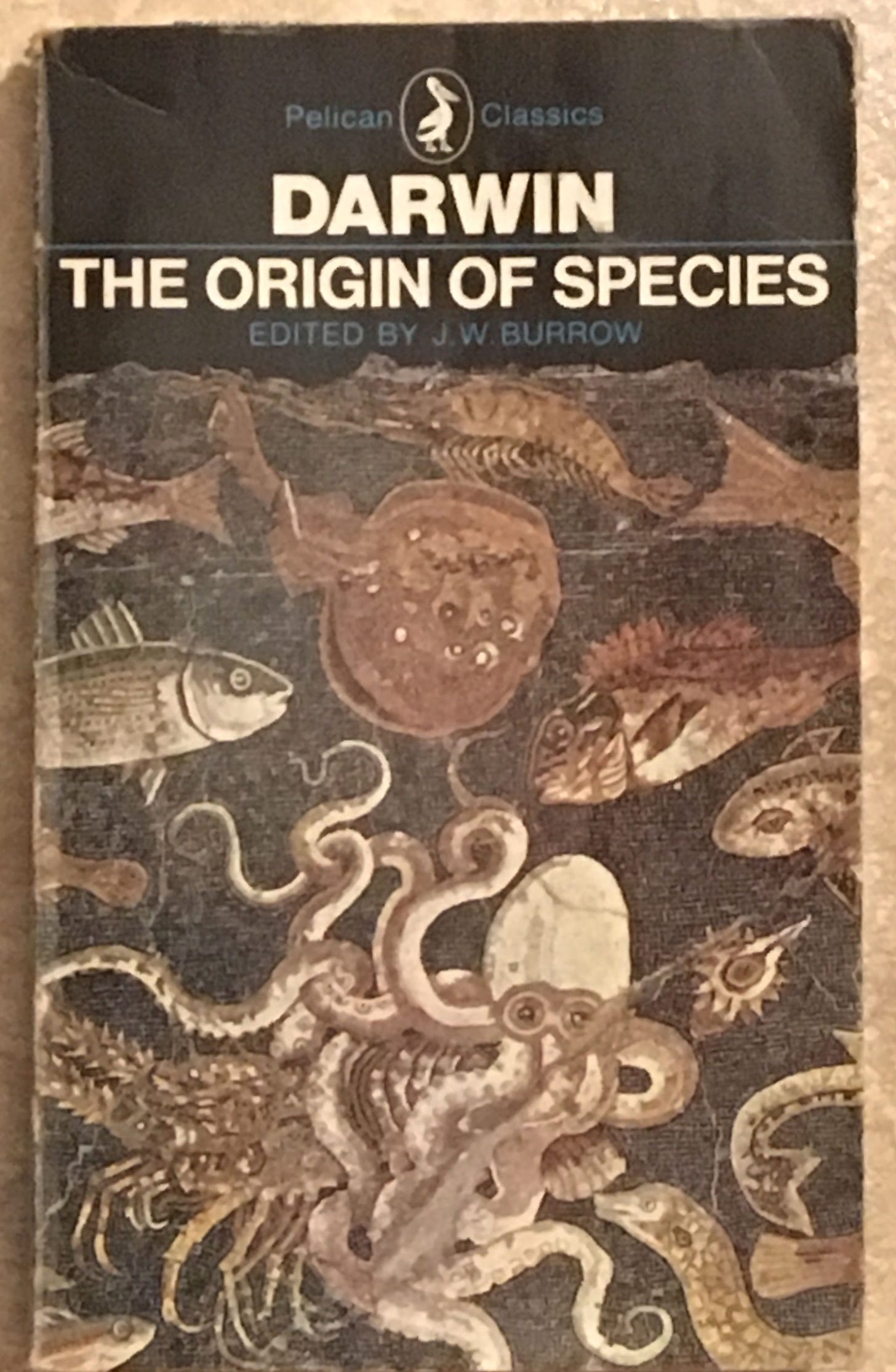 Charles Darwin, The Origin of Species | Origin of species, Darwin ...