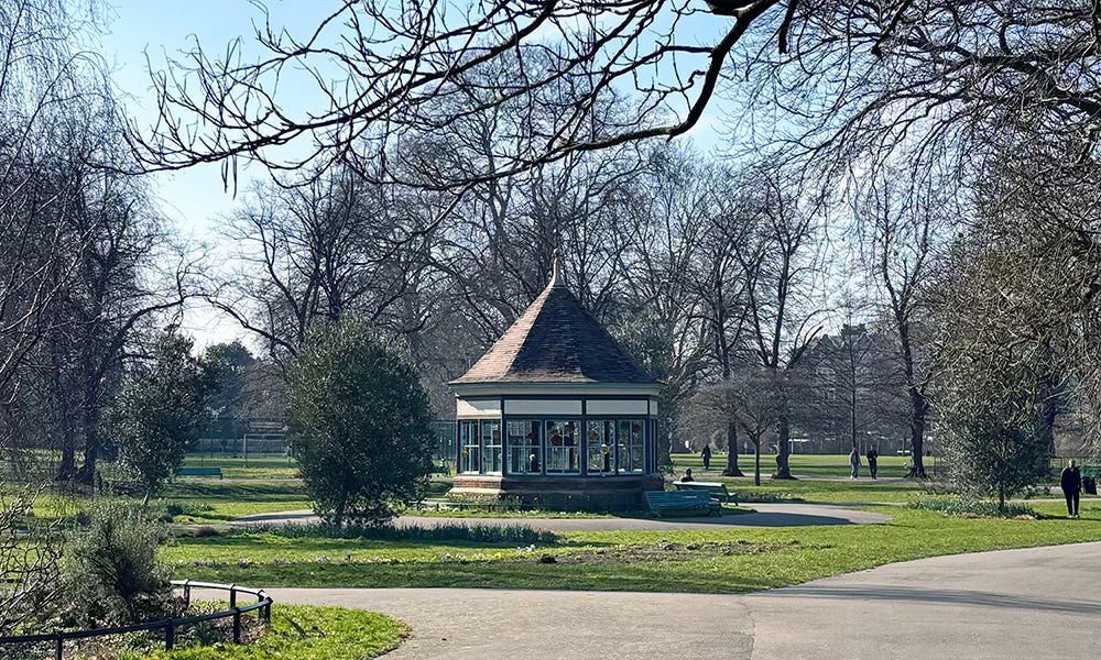A photograph taken in my local park, a wide shot at the centre of which is a summer house surrounded by trees grass and in the foreground many crocuses of varying colours barely peeping above the grass. The sky is blue and it is sunny.