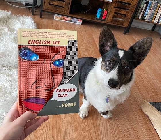 Gwen, a black and white Cardigan Welsh Corgi, standing next to Kendra’s hand, which is holding a copy of English Lit by Bernard Clay