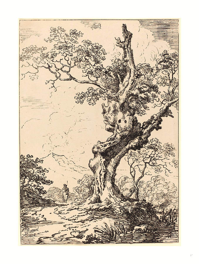 Study Of An Old Oak Tree, Water On Right by George Samuel, 19th Century,  English