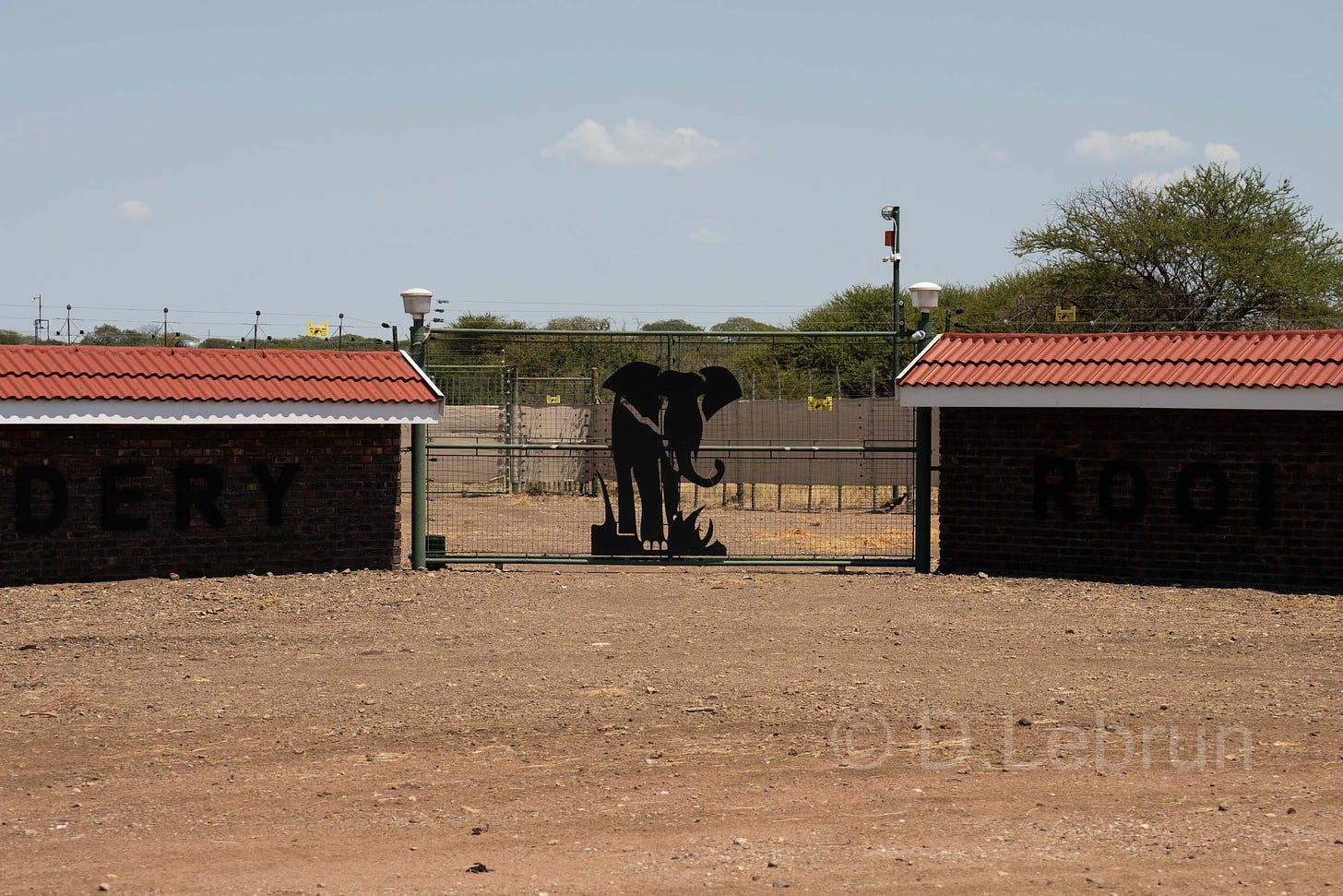 La chasse aux animaux sauvages dans les réserves de faune est une source importante de devises pour le pays d'Afrique du Sud, 2024 (photo/Dorothee Lebrun).