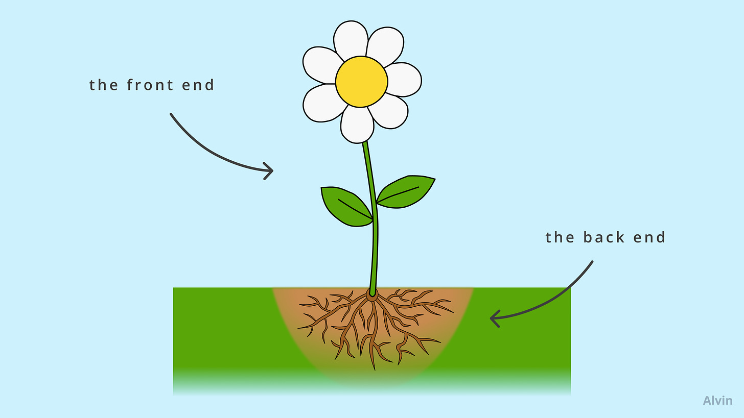 The root system of a flower is like the back end, while the stem and blossom together is like the front end.