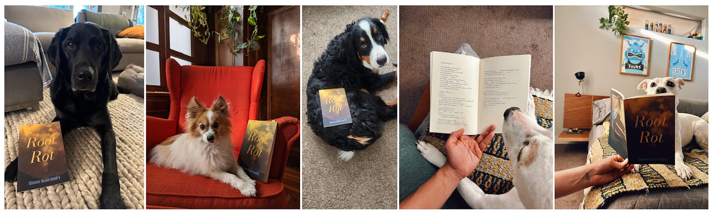 series of photos with dogs being forced to pose with a poetry chapbook