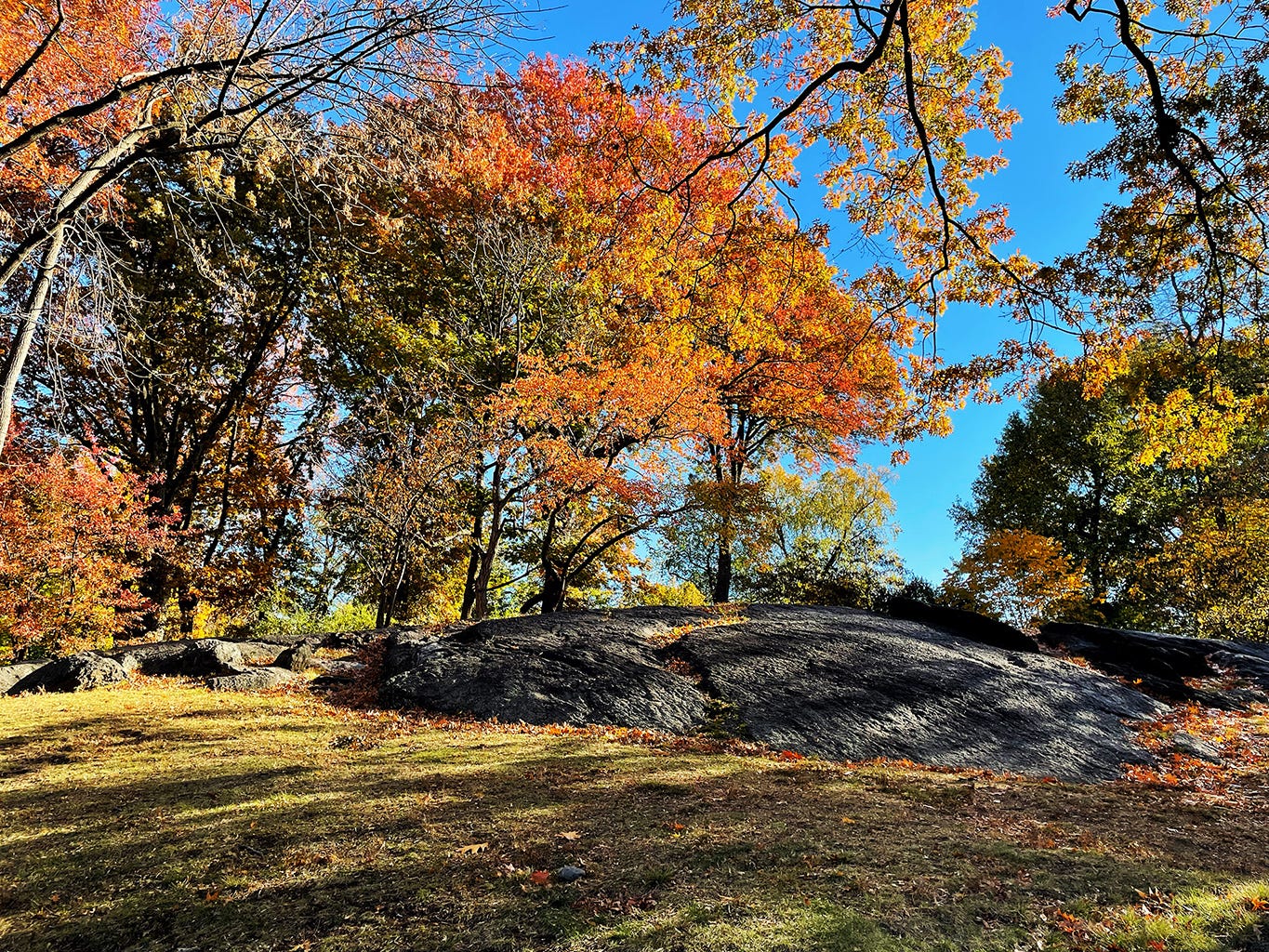 Rocky outcrops in Central Park, just south of the site where Seneca Village once stood. A beautiful blue sky shines through autumn foliage.