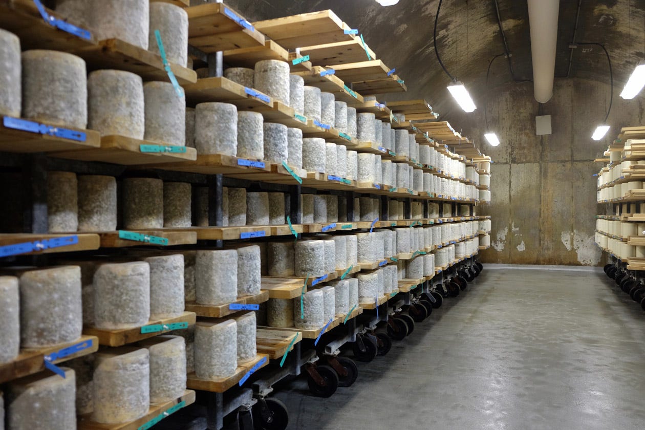 Shelves of Bayley Hazen Blue at Cellars at Jasper Hill