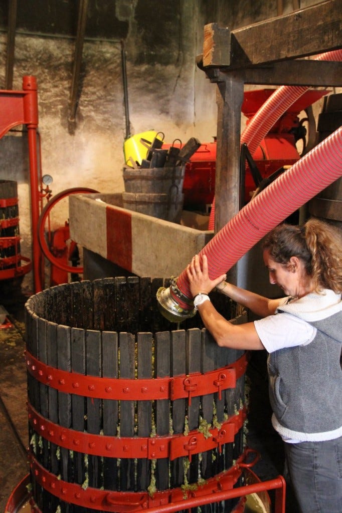 berengere - chateau lusseau - loading up the basket press 2