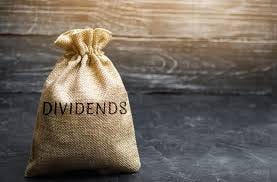 What Are Dividend Stocks: How Do They ...