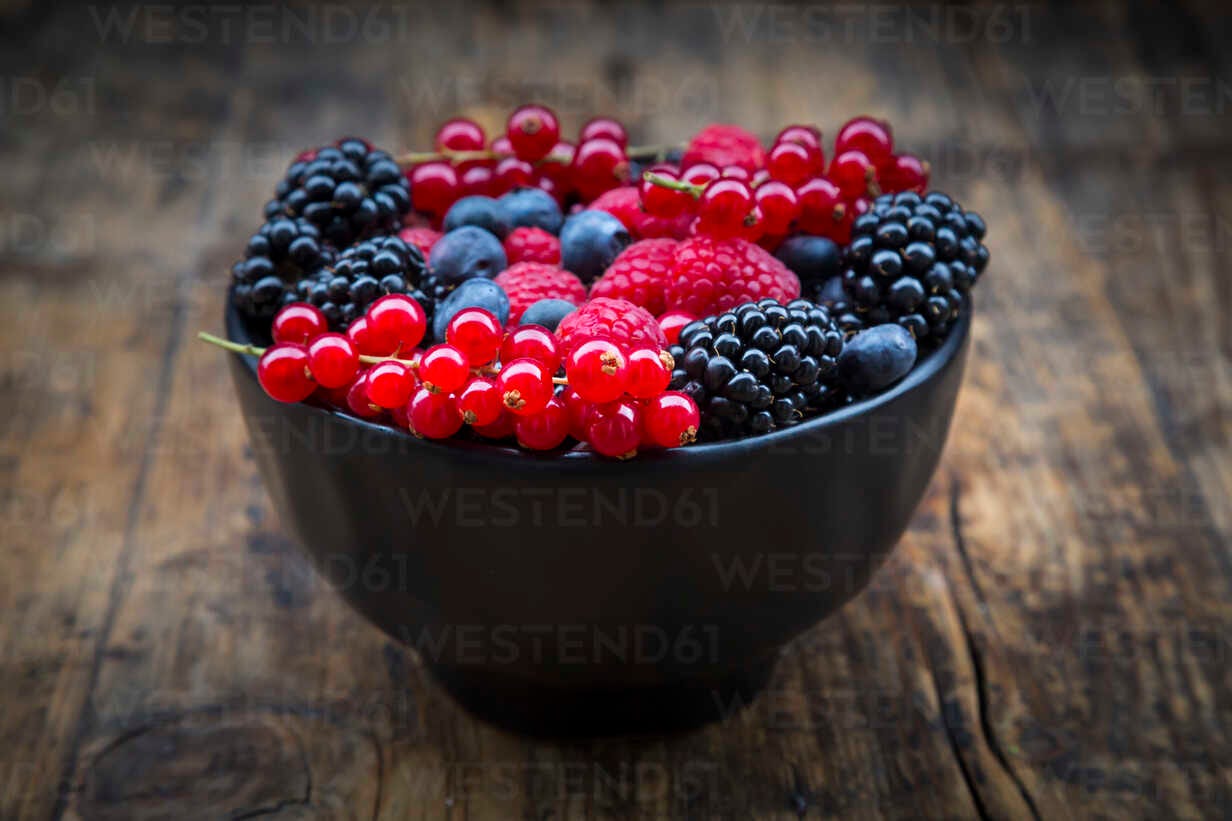 Wild berries in bowl stock photo