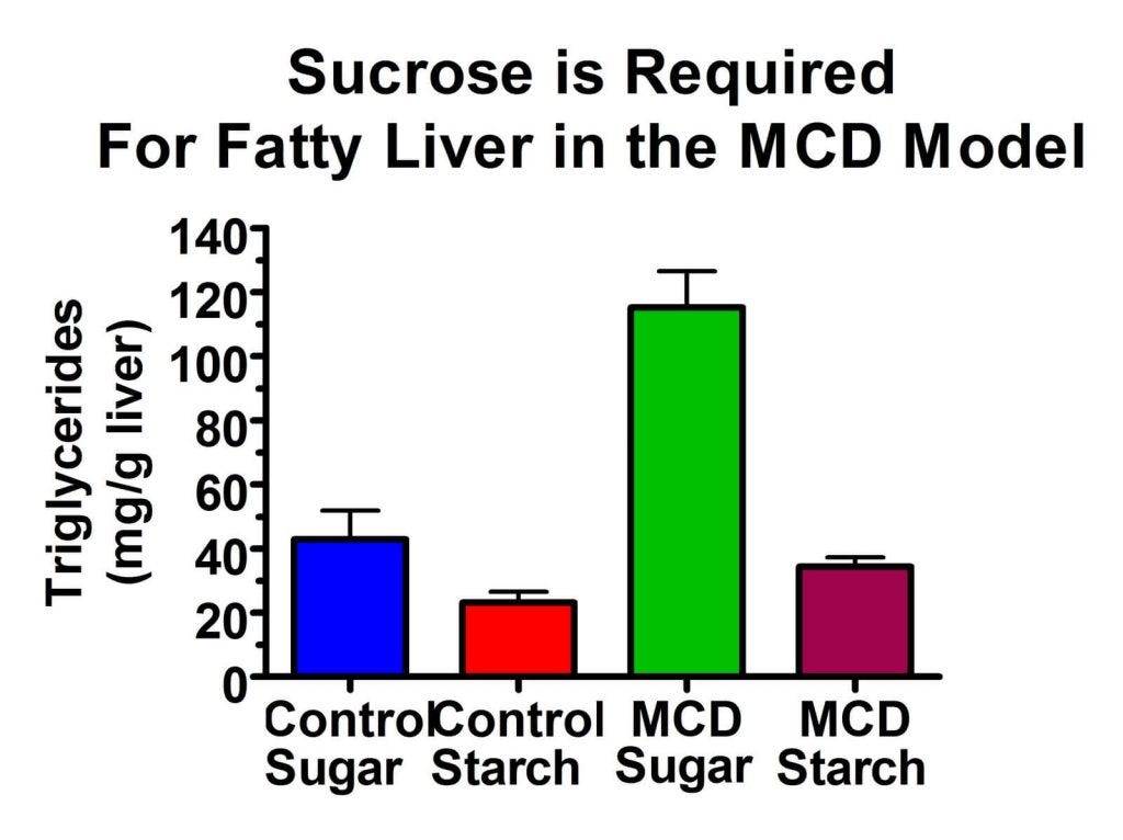In methionine- and choline-deficient rats, sugar must replace starch to produce fatty liver disease.
